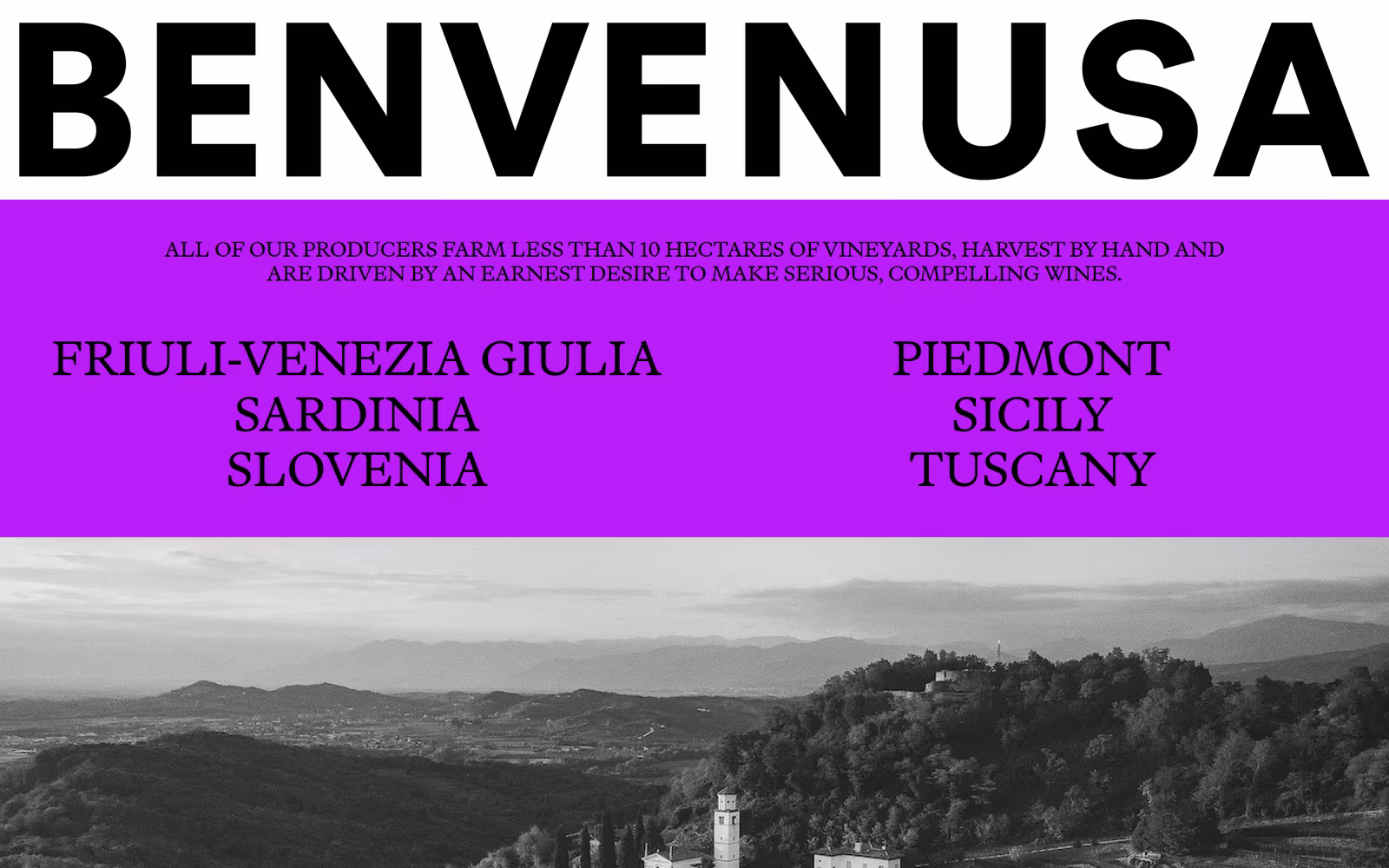 Benvenusa — Brutalist E-commerce website design
